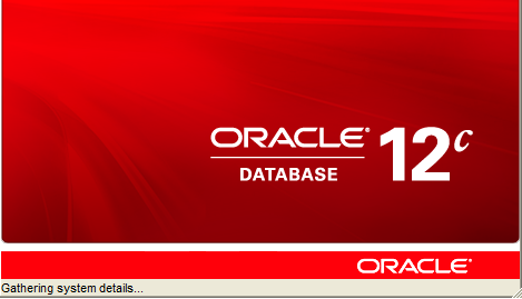 Oracle database 12 installation