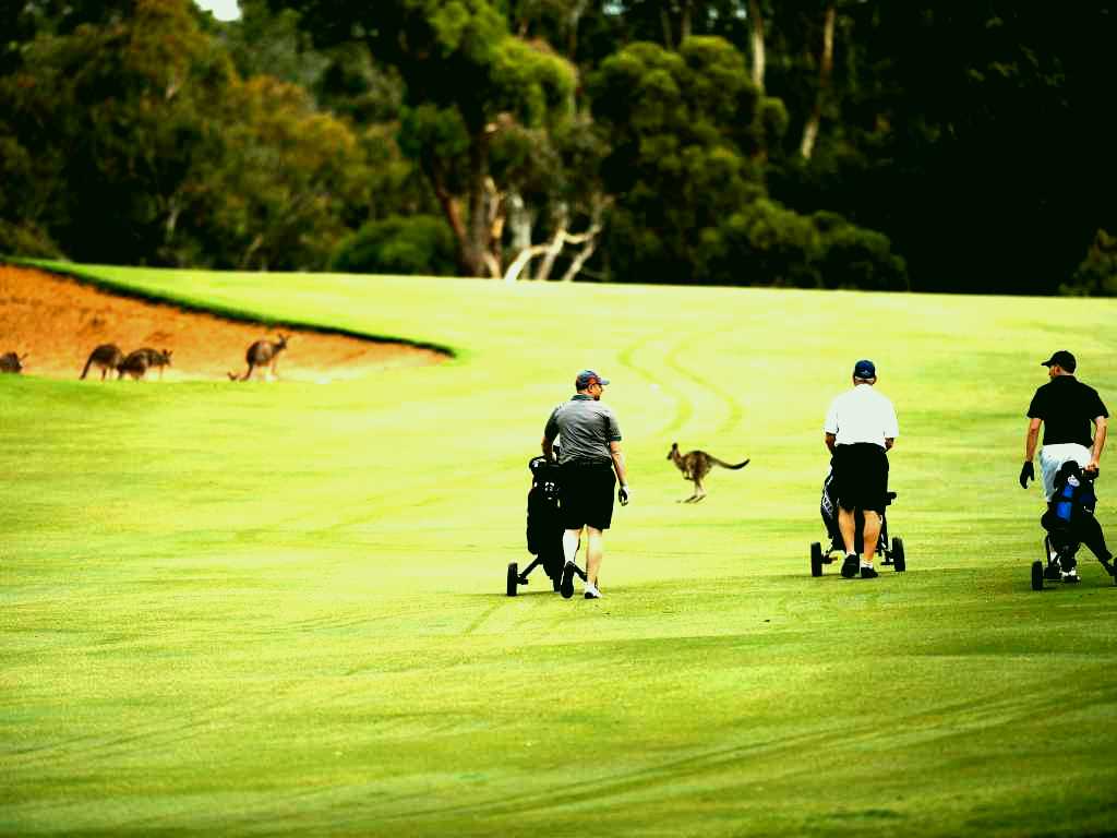 SubjectCoach | Federal Golf Club