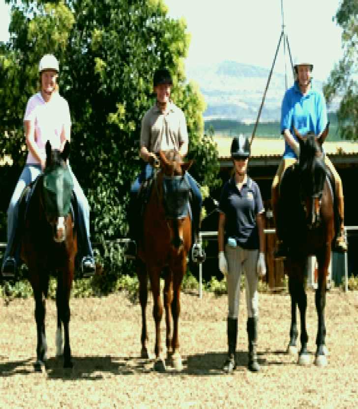 SubjectCoach | Forest Park Riding and Equitation School