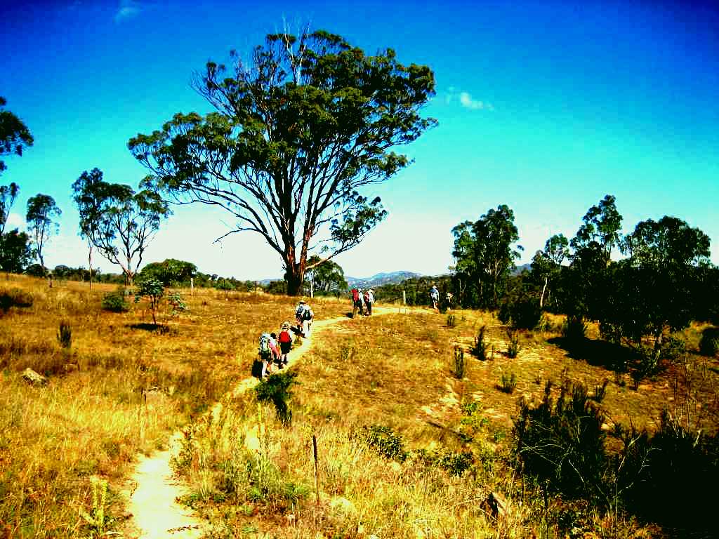 SubjectCoach | Kambah Pool to Pine Island