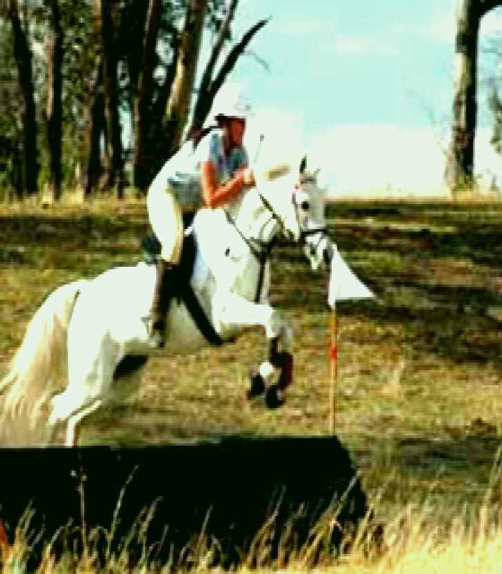 SubjectCoach | National Equestrian Centre - Kerrabee