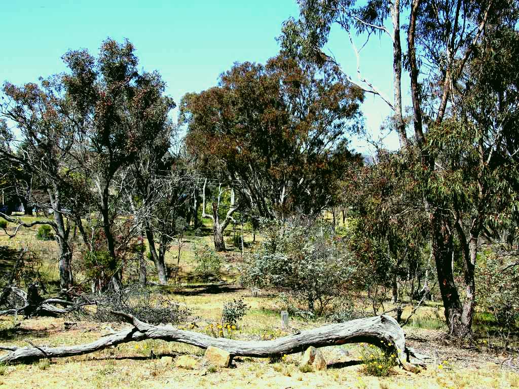 SubjectCoach | Remembrance Nature Park