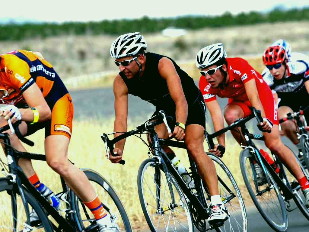 SubjectCoach | Stromlo Forest Park