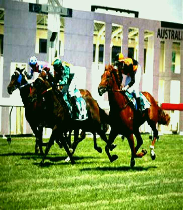 SubjectCoach | Thoroughbred Park Canberra Racing Club - Horse Racing in the Nations Capital