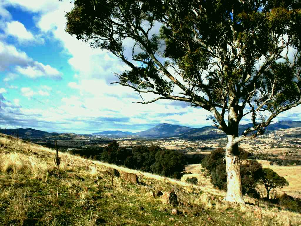 SubjectCoach | Urambi Hills