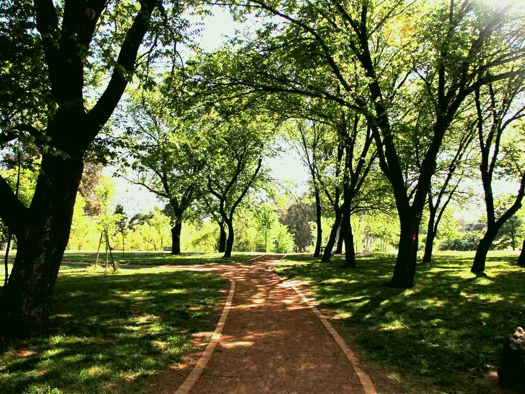 SubjectCoach | Weston Park