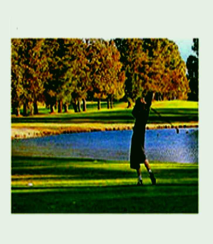 SubjectCoach | Yowani Country Club Incorporated