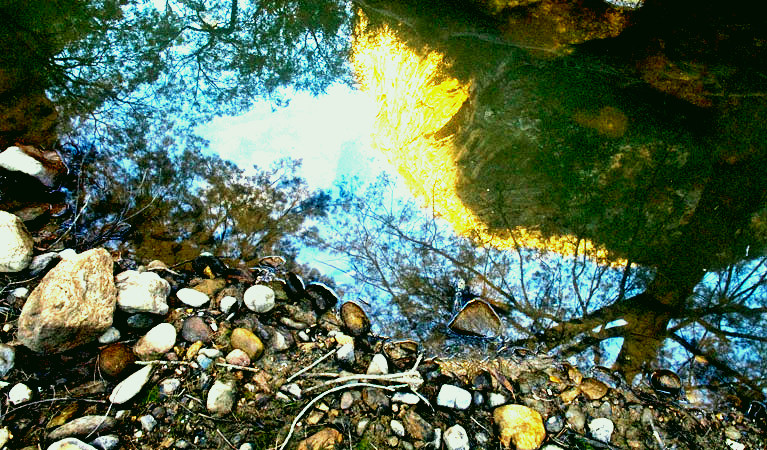 SubjectCoach | Abercrombie Karst Conservation Reserve