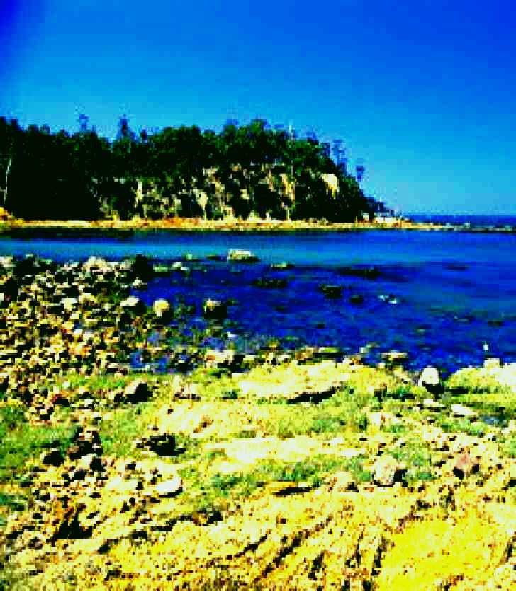 SubjectCoach | Aslings Beach