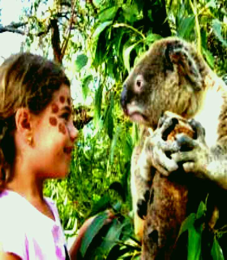 SubjectCoach | Australia Walkabout Wildlife Park