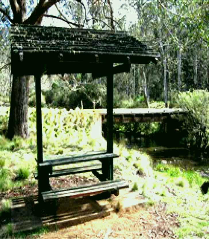 SubjectCoach | Barrington Tops State Forest