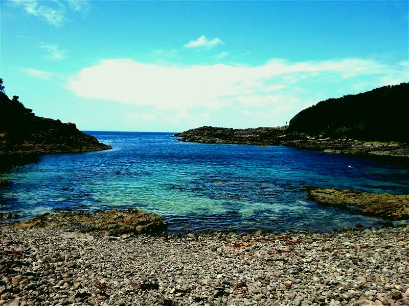 SubjectCoach | Bass Point Reserve
