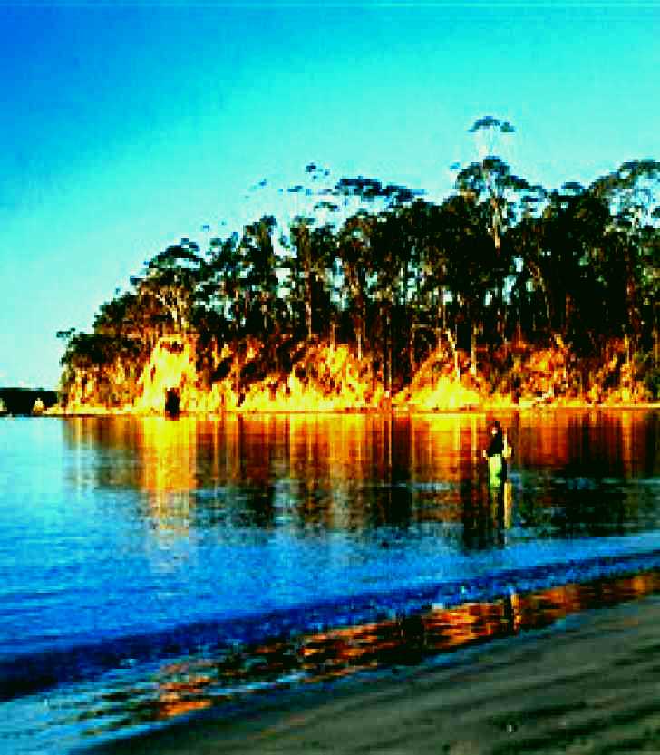 SubjectCoach | Batemans Marine Park