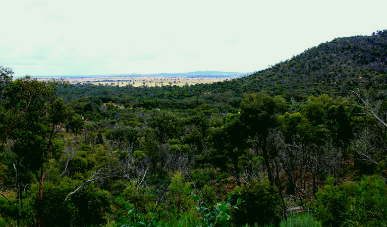 SubjectCoach | Ben Hall's Cave walking track