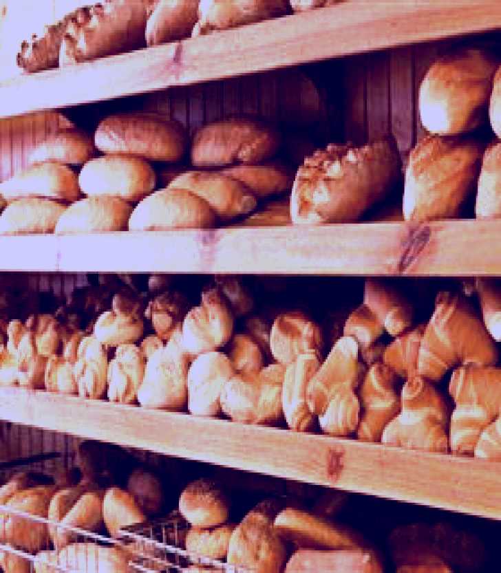 SubjectCoach | Bertoldo's Pasticceria
