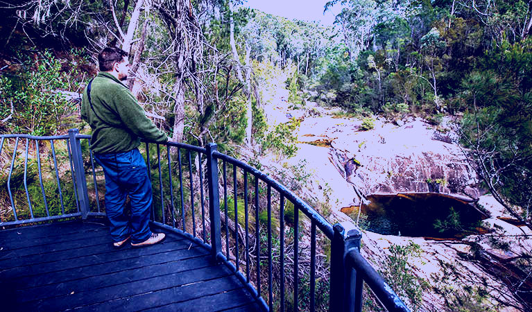 SubjectCoach | Biamanga National Park