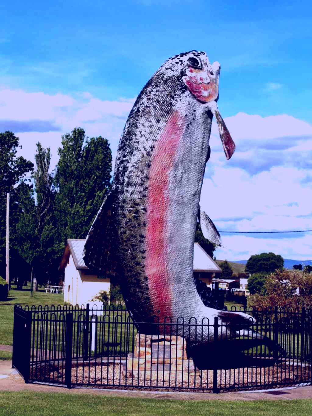 SubjectCoach | Big Trout