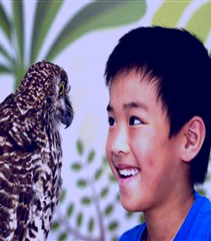SubjectCoach | Birds Australia Discovery Centre