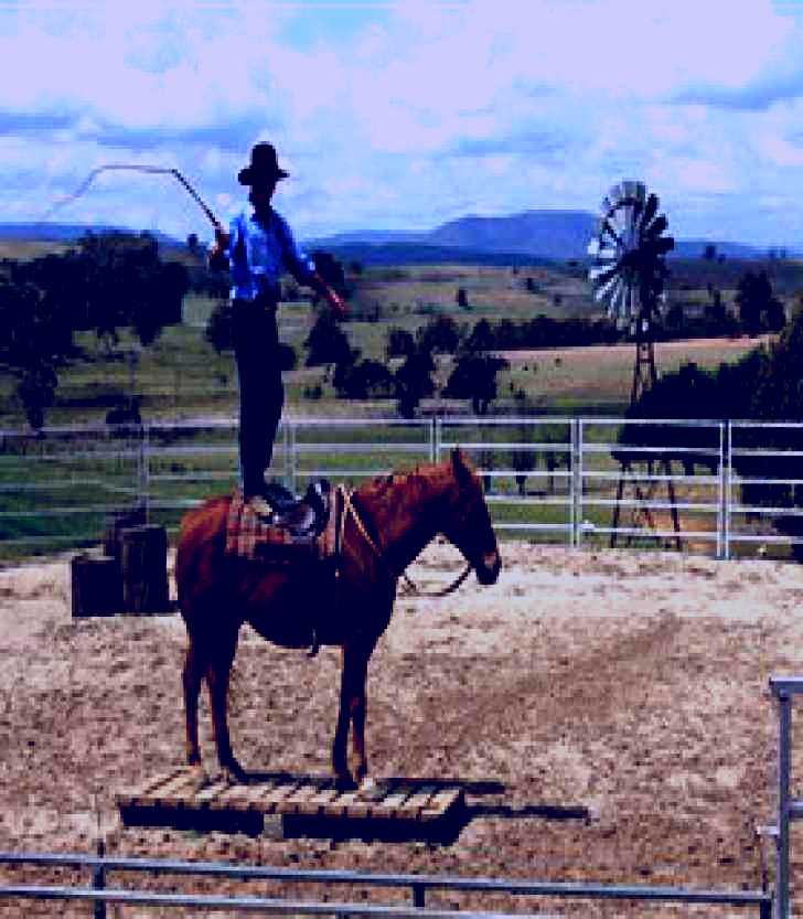 SubjectCoach | Boggy Creek Show