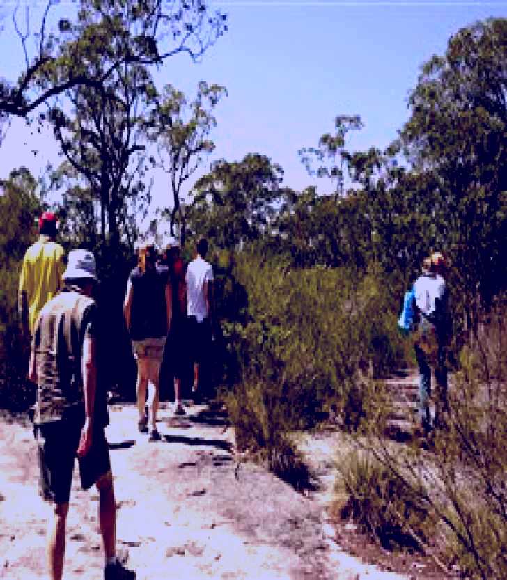 SubjectCoach | Bomaderry Creek Walking Track