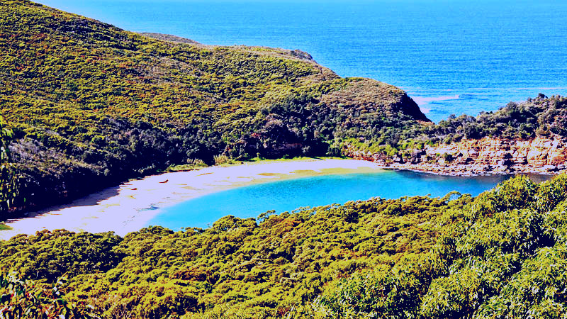 SubjectCoach | Bouddi National Park
