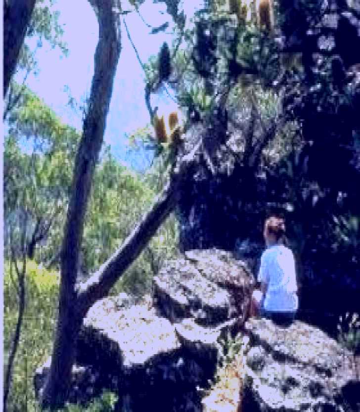 SubjectCoach | Boyd Lookout