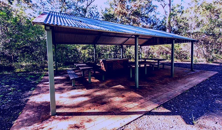 SubjectCoach | Brimbin picnic area