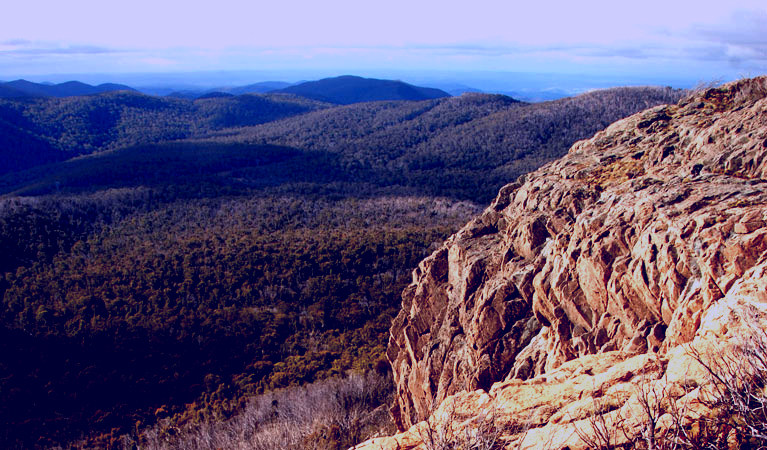 SubjectCoach | Brindabella National Park