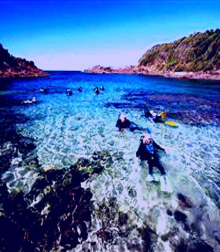 SubjectCoach | Bushrangers Bay Aquatic Reserve
