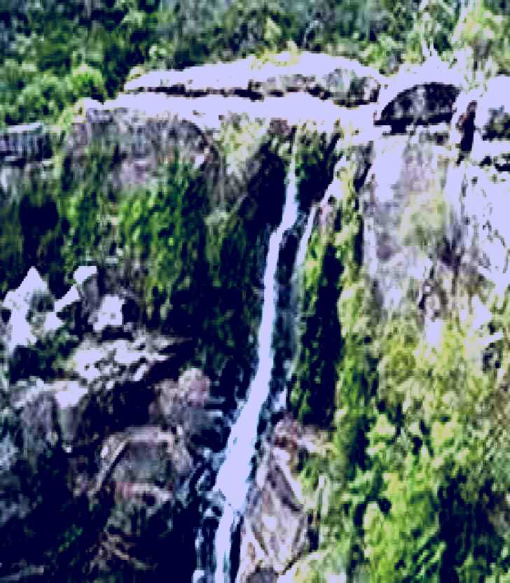 SubjectCoach | Carrington Falls Jamberoo