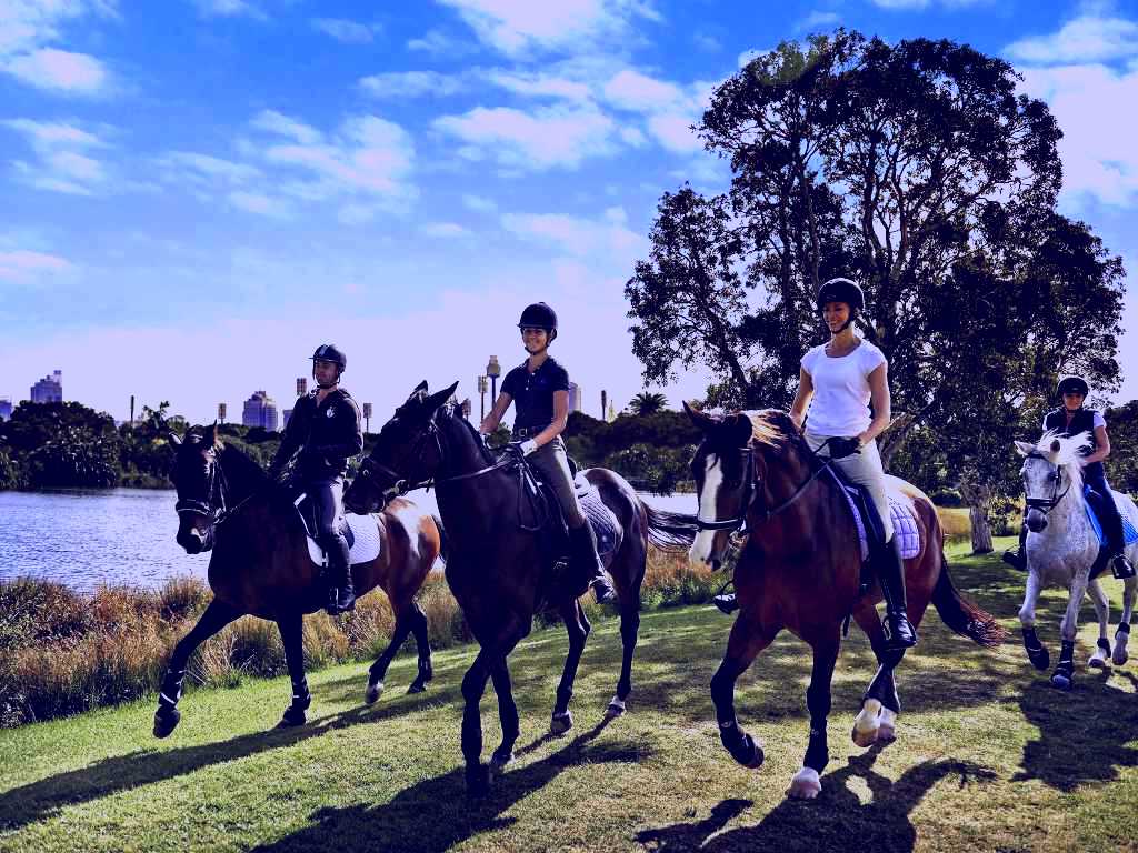 SubjectCoach | Centennial Parklands