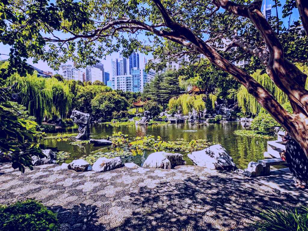 SubjectCoach | Chinese Garden of Friendship