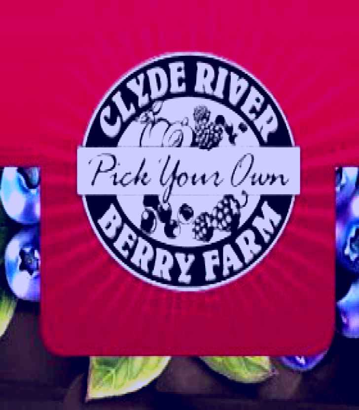 SubjectCoach | Clyde River Berry Farm