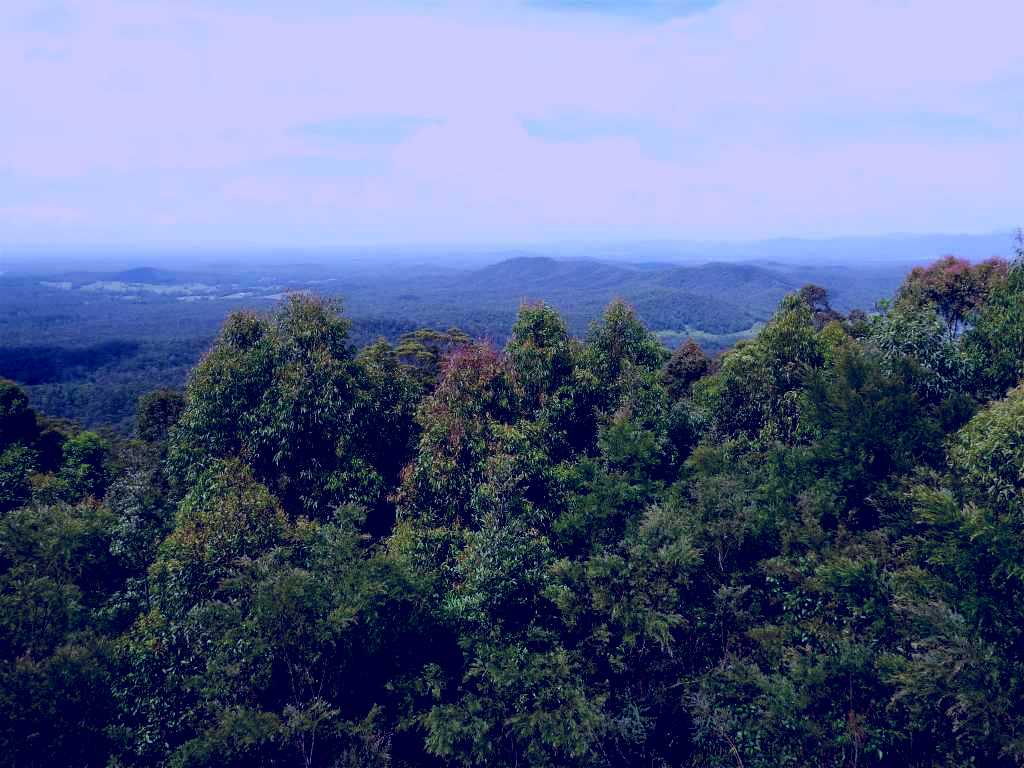 SubjectCoach | Collombatti Lookout