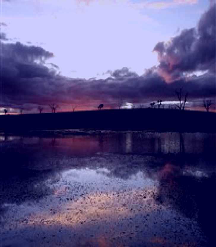 SubjectCoach | Dangars Lagoon and Racecourse Lagoon