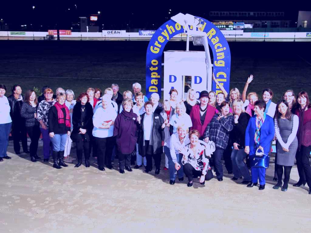 SubjectCoach | Dapto Dogs
