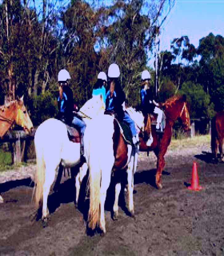 SubjectCoach | Darkes Forest Riding Ranch