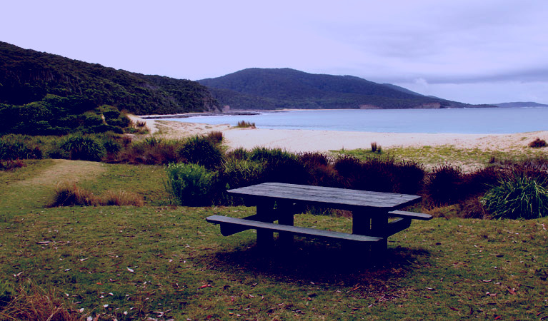 SubjectCoach | Depot Beach picnic area