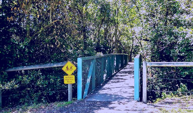 SubjectCoach | Diamond Head Loop walk