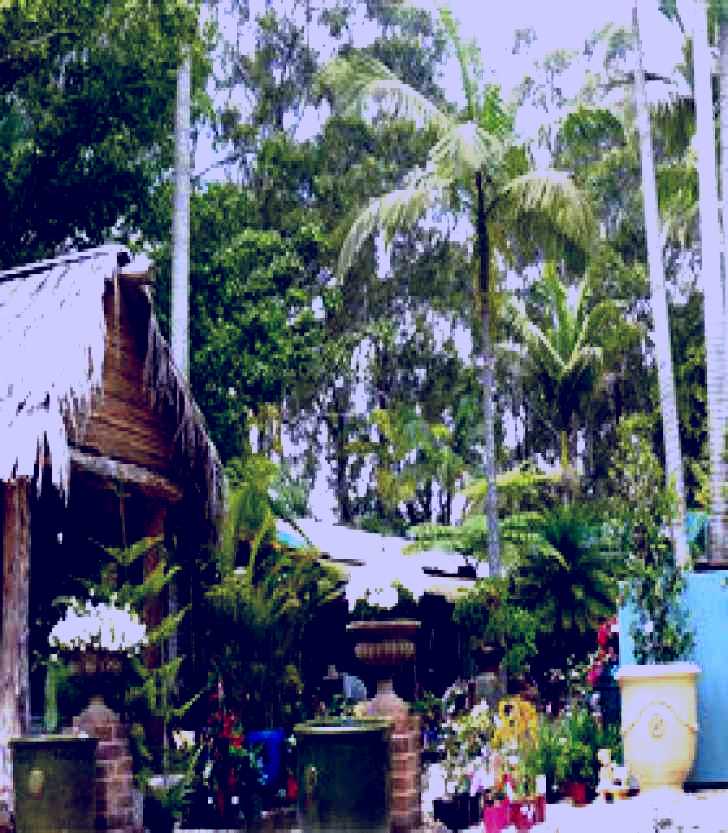 SubjectCoach | Diamond Waters Garden Nursery