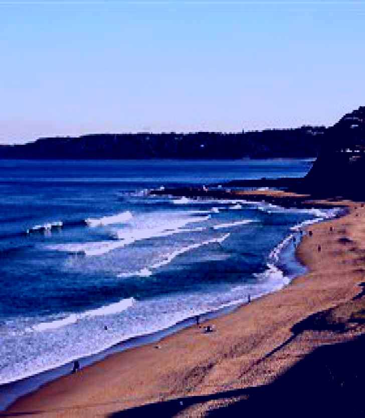 SubjectCoach | Dixon Park Beach
