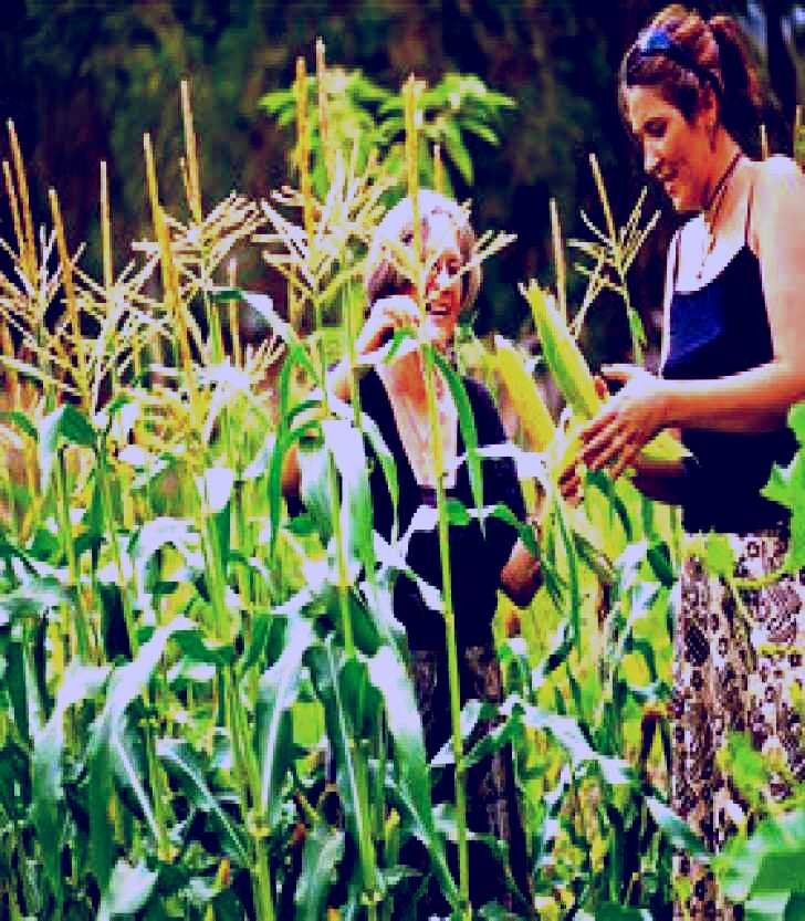 SubjectCoach | Djanbung Permaculture Gardens