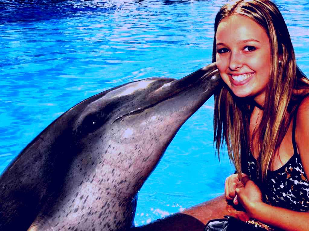 SubjectCoach | Dolphin Marine Magic