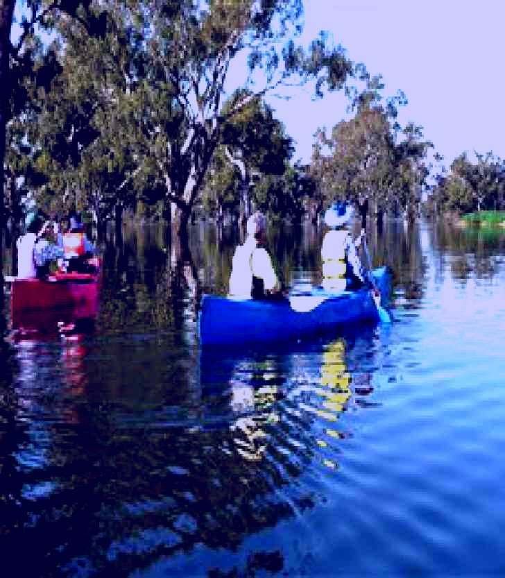SubjectCoach | Doodle Cooma Swamp