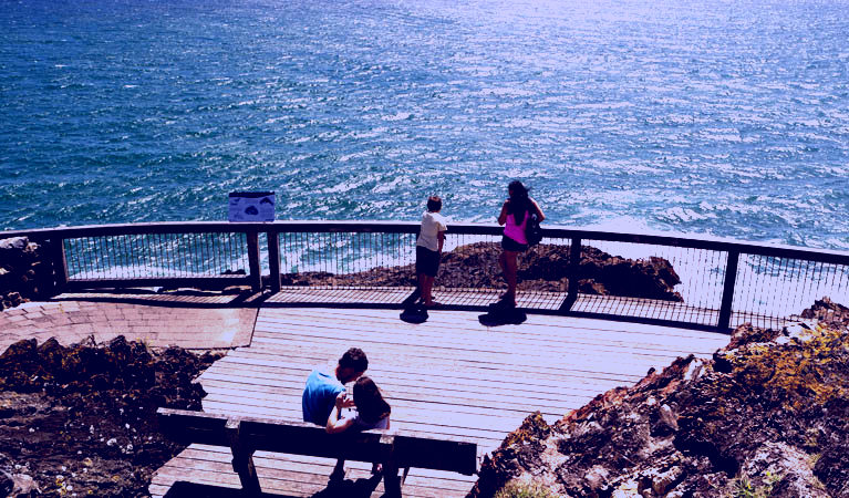 SubjectCoach | Eastern Side lookout