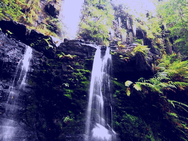 SubjectCoach | Fairy Bower Falls