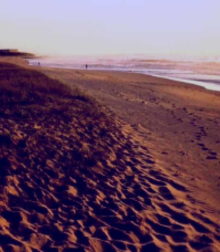 SubjectCoach | Fairy Meadow Beach