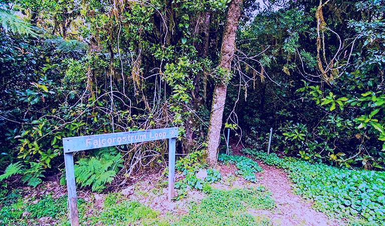 SubjectCoach | Falcorostrum loop walking track