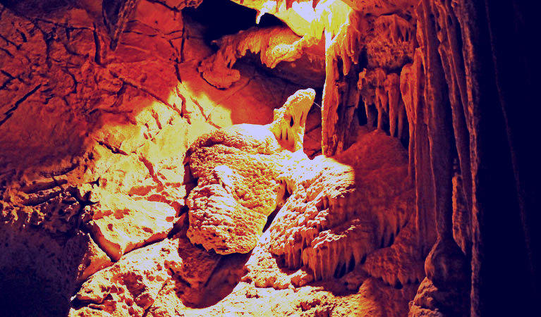SubjectCoach | Fig Tree Cave
