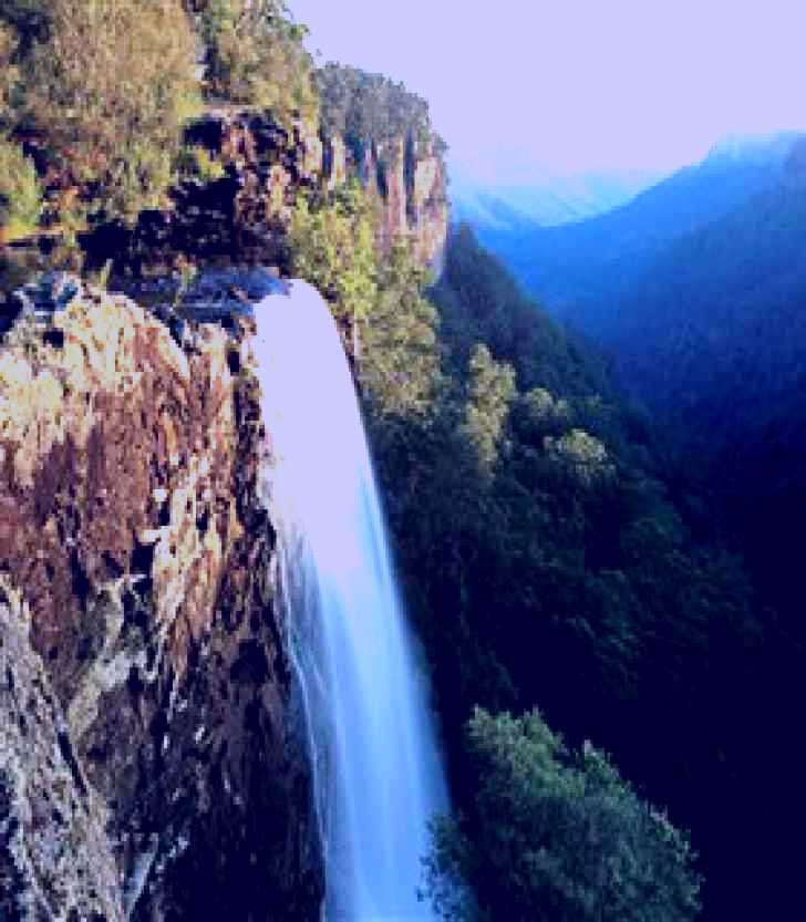 SubjectCoach | Fitzroy Falls